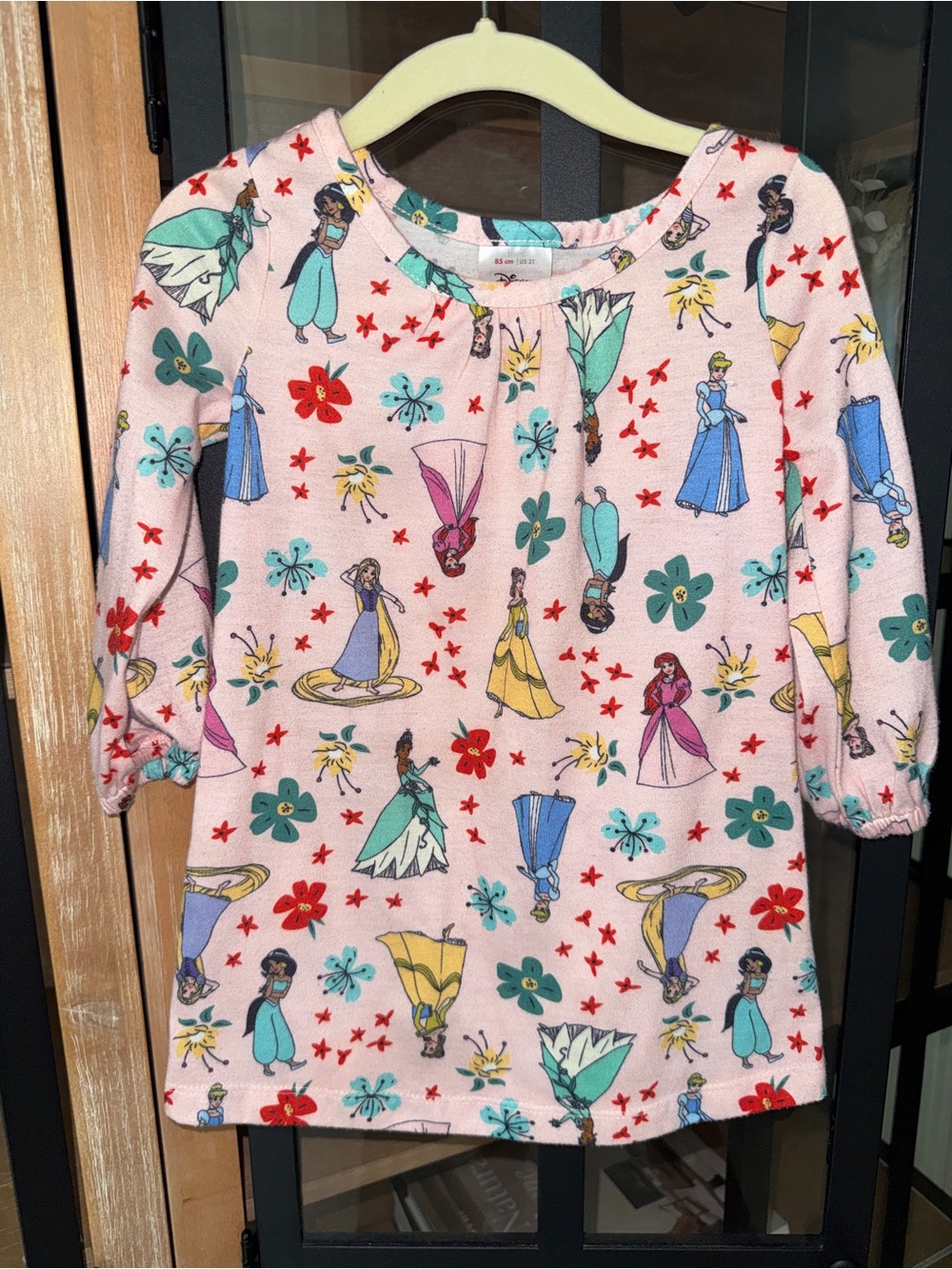 Hanna Andersson Disney princesses long sleeve dress nightgown toddler girl